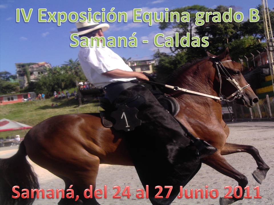 Evento: VI EXPOSICI�N EQUINA GRADO B SAMAN� CALDAS