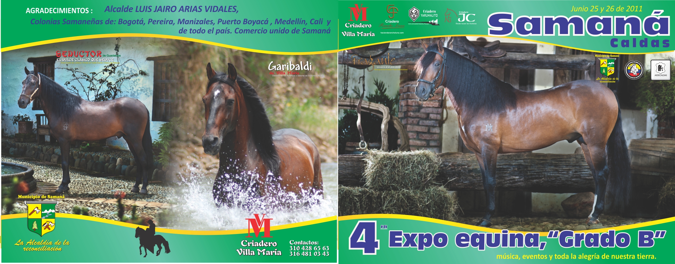 Evento: VI EXPOSICI�N EQUINA GRADO B SAMAN� CALDAS