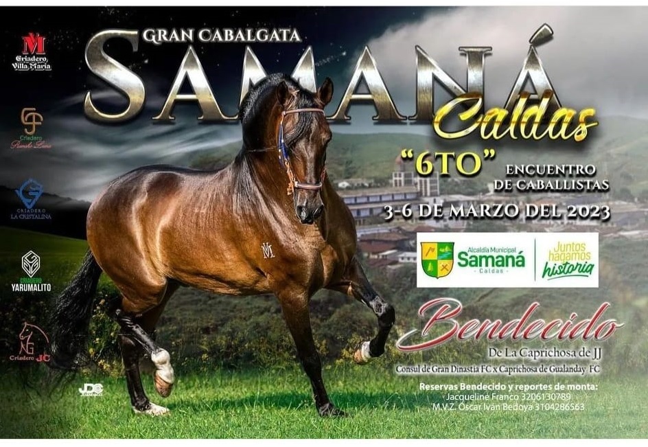 6 ENCUENTRO DE CABALLISTAS